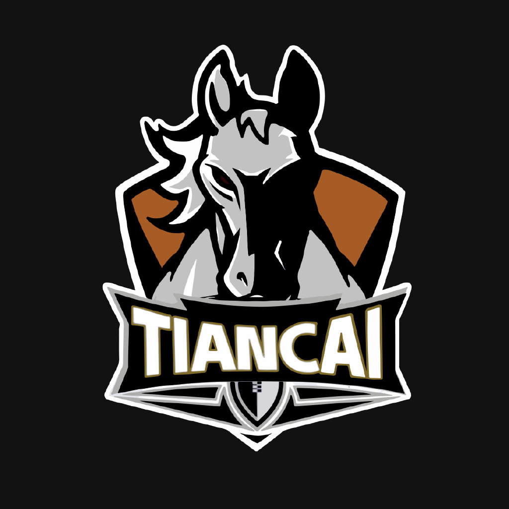 T1